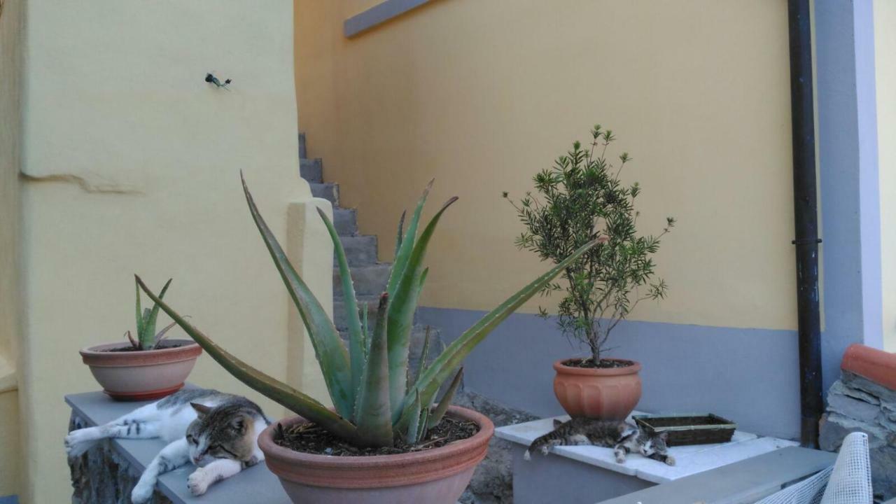 La Stanzetta Viola Hotel Fezzano  Luaran gambar